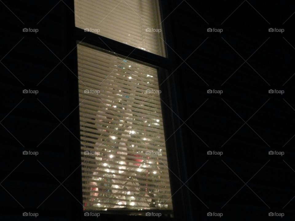 looking in at the lights