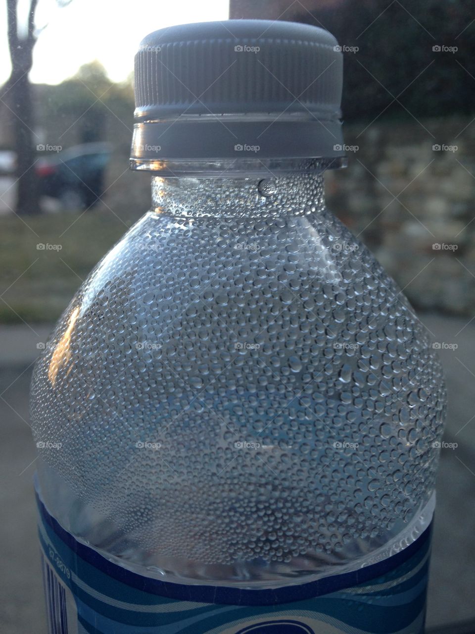 Water bottle dew