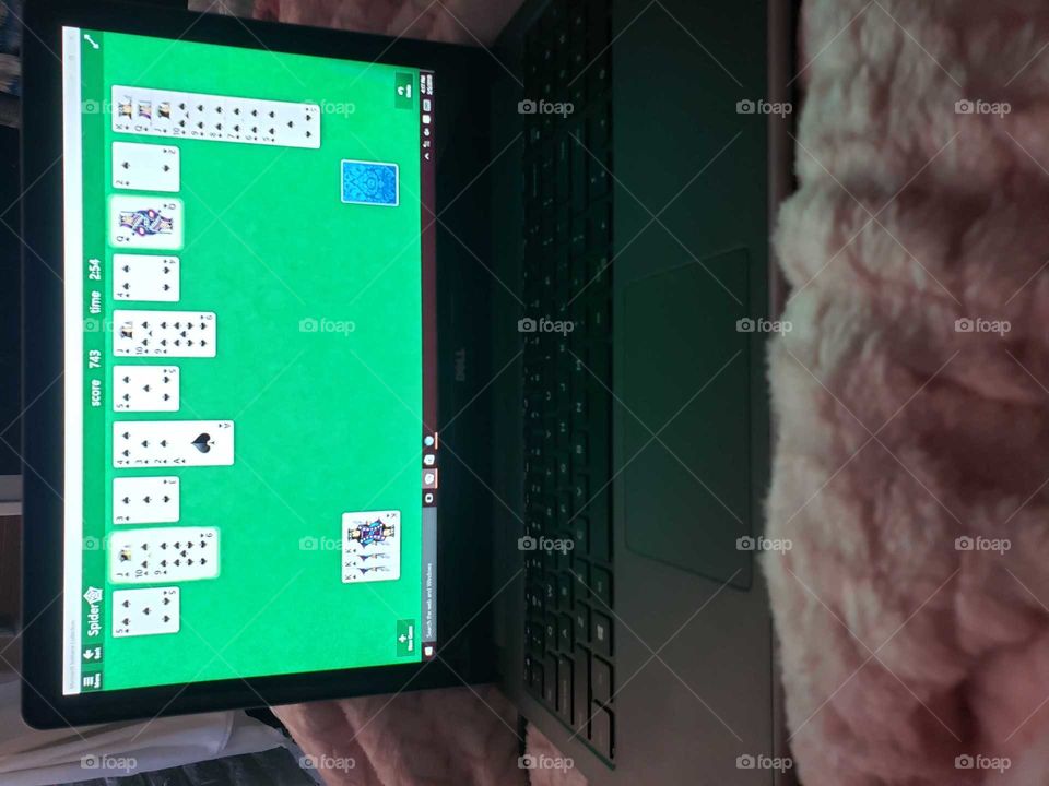 spider solitaire