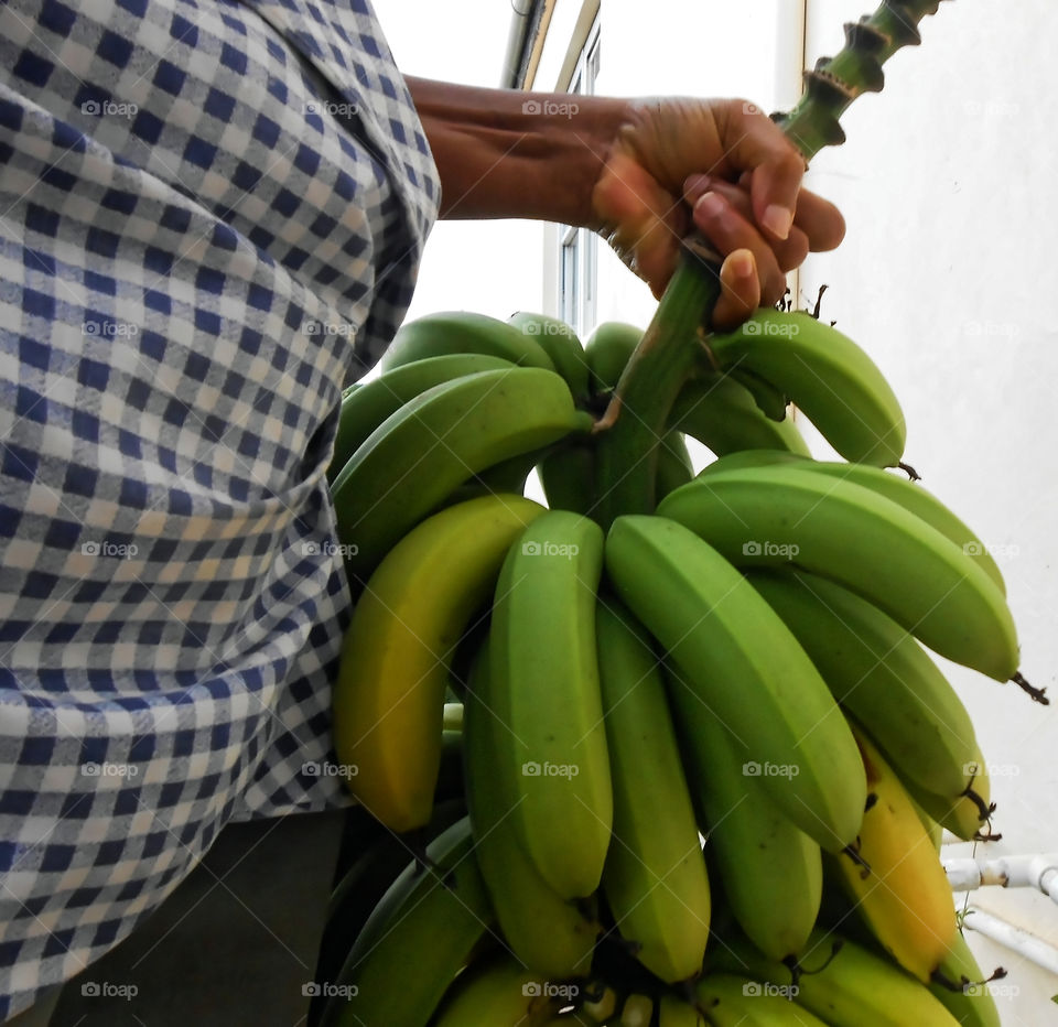 Holding Banana Bunch