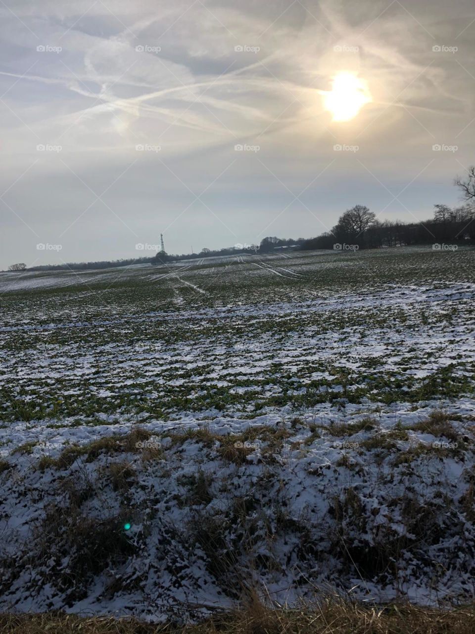 field in winter