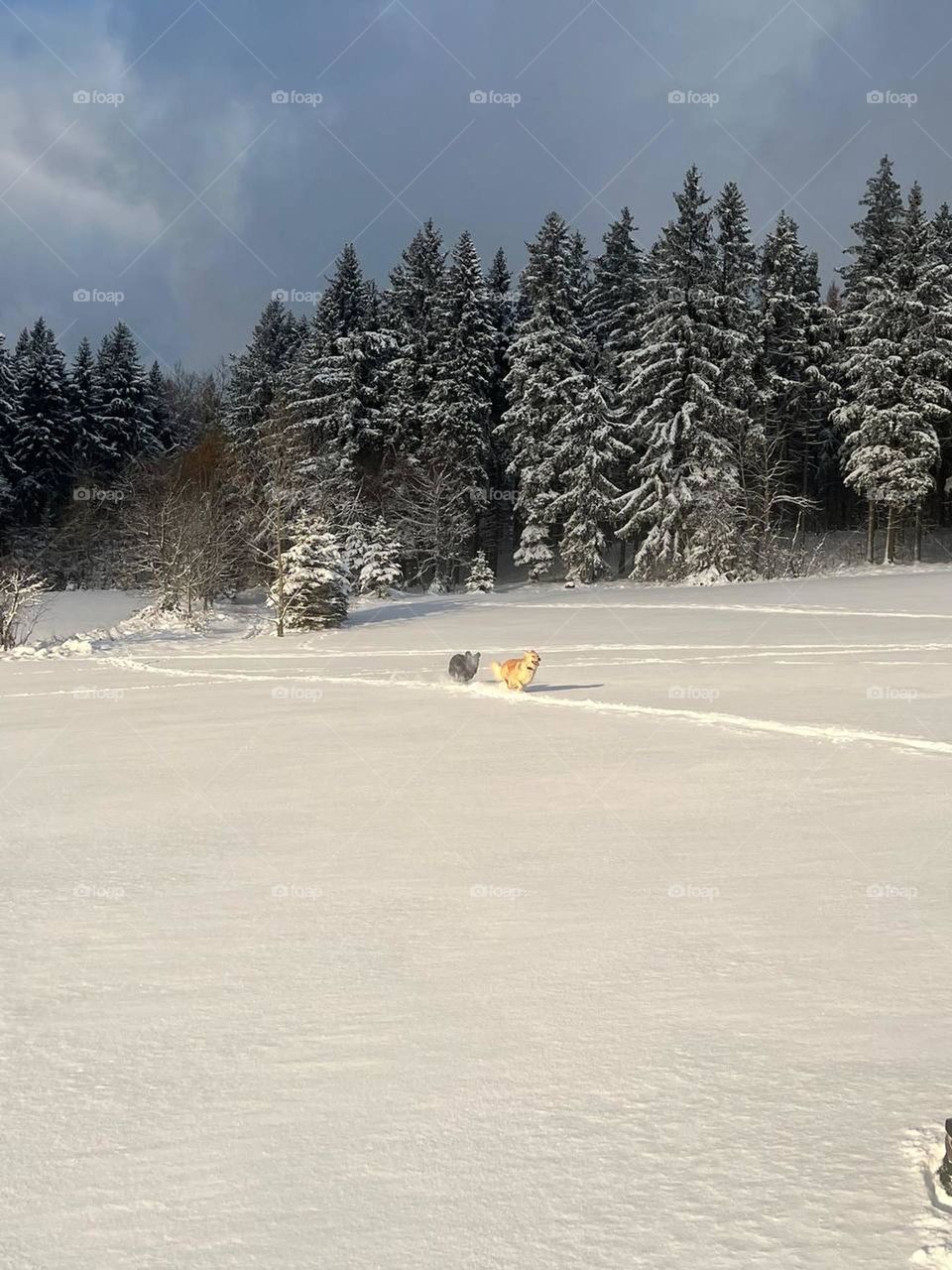 the beauty of our mountains