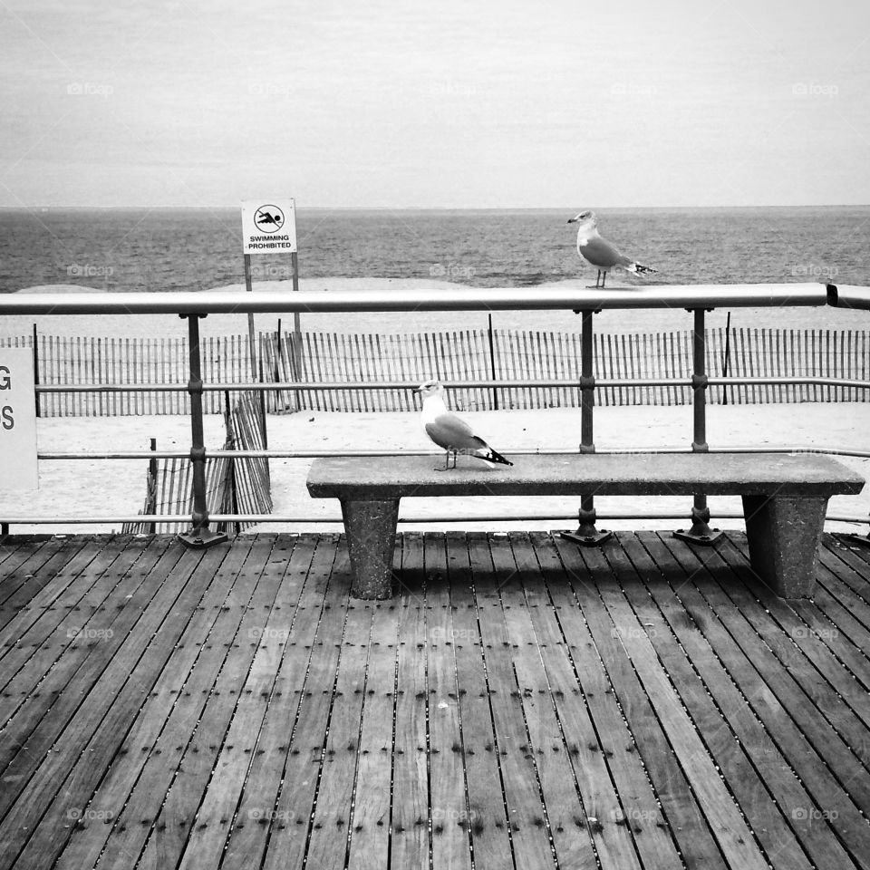 Beach B&W . Beach scene 