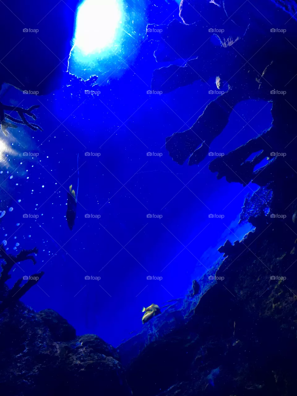 Deep Blue