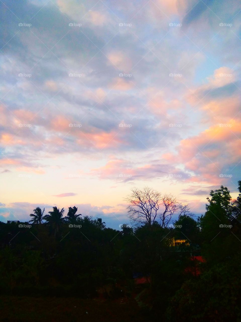 colorful clouds and trees. This is attractive.