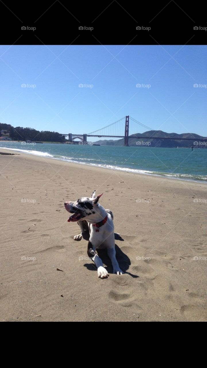 I love San Francisco