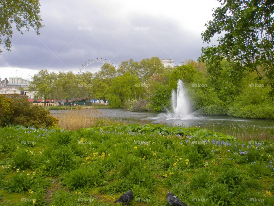 THH ST. JAMES PARK LONDON, ENGLAND