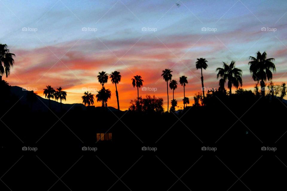 desert sunset in Palm Desert