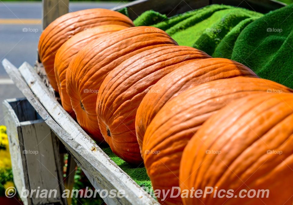 pumkins for sale orange pumpkins on wooden rack display Outdoor market