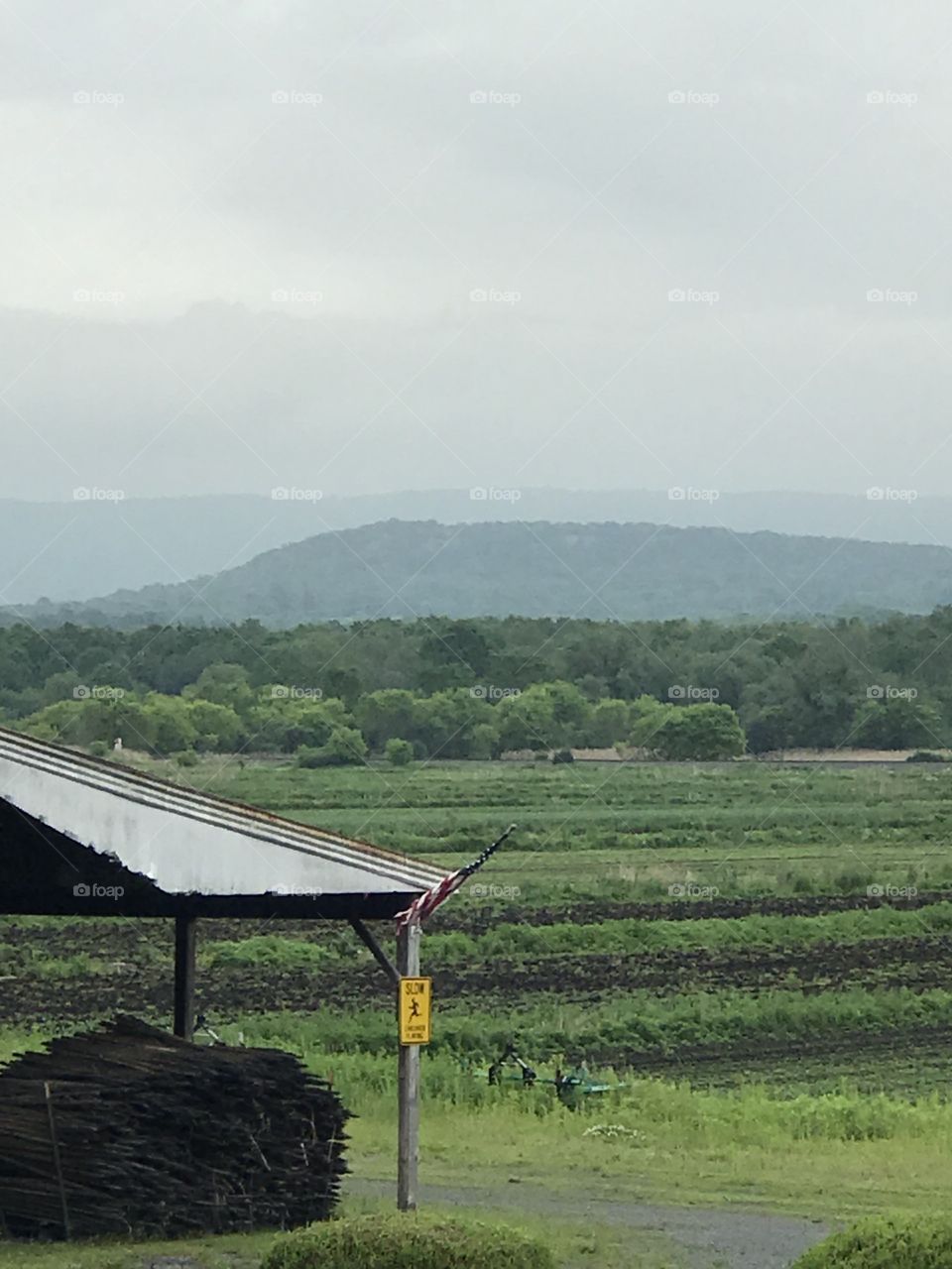 Farm view