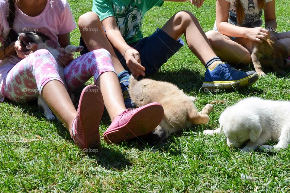 Children Walking and Enjoy Time in Park with Dogs