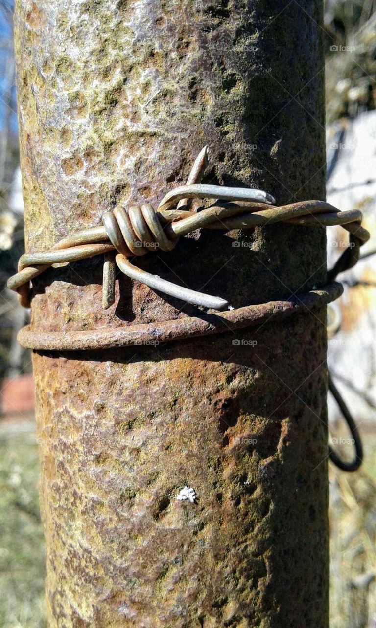 Barbed Wire