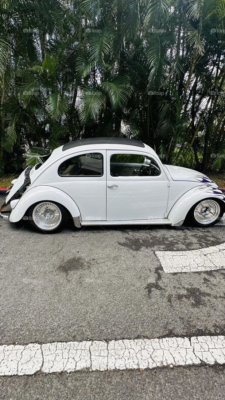 VW Bug