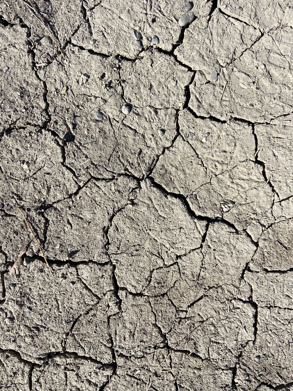 Cracked and dry ground