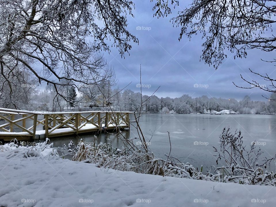 Over And Under The Snow.
