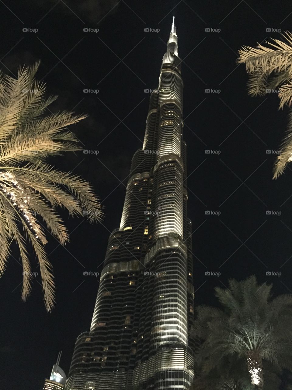Burj Khalifa with palm trees