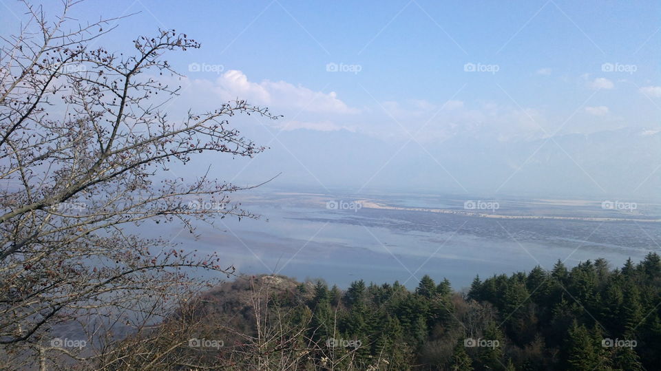 Tree, Landscape, Sky, Nature, Travel