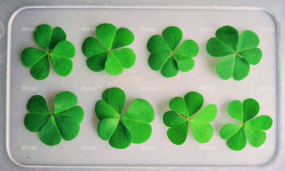 Beautiful shapes in nature!