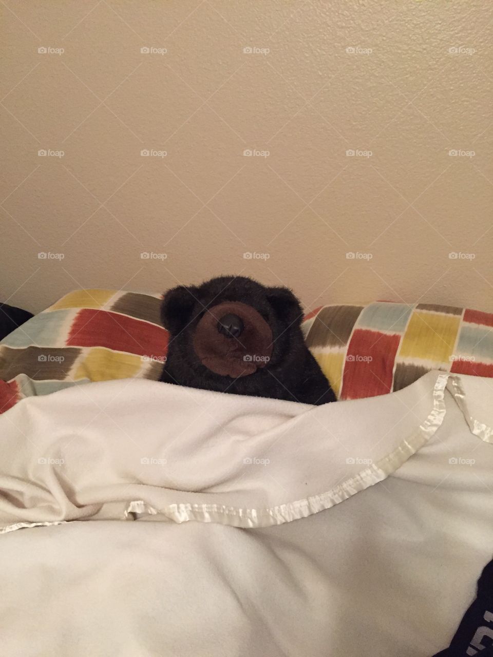 Mr. Bear in bed