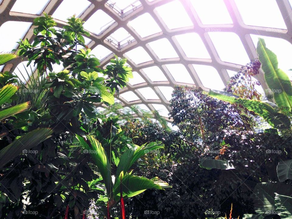 botanic gardens dome