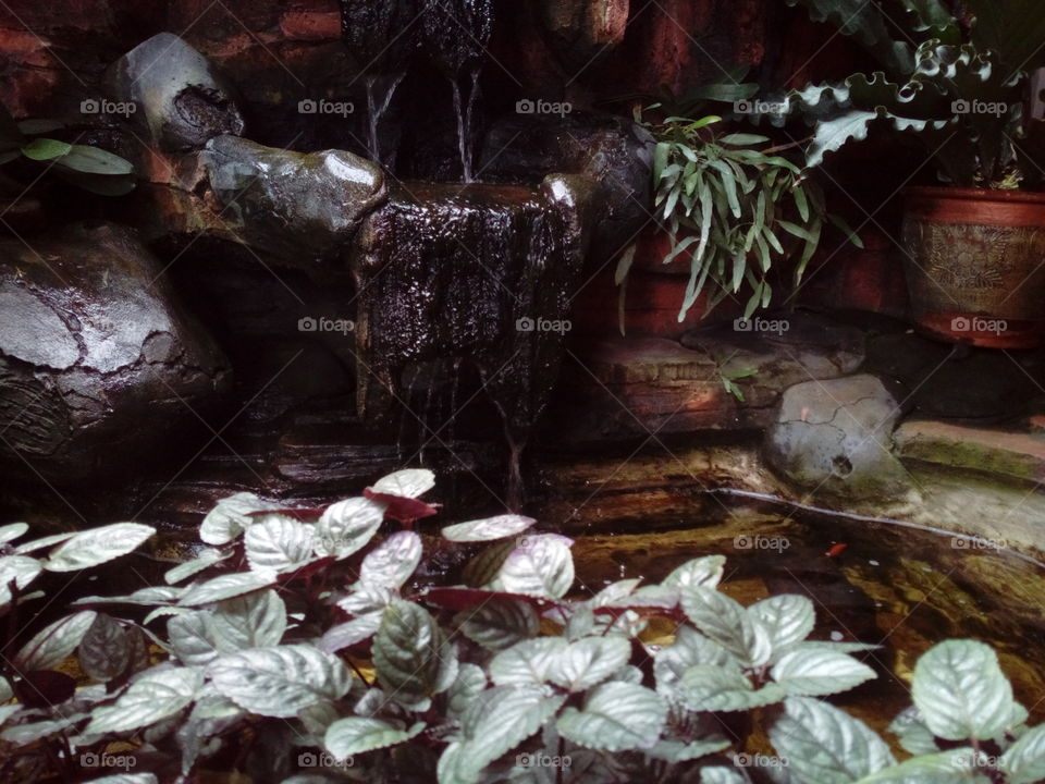 Koi Pond Fountain