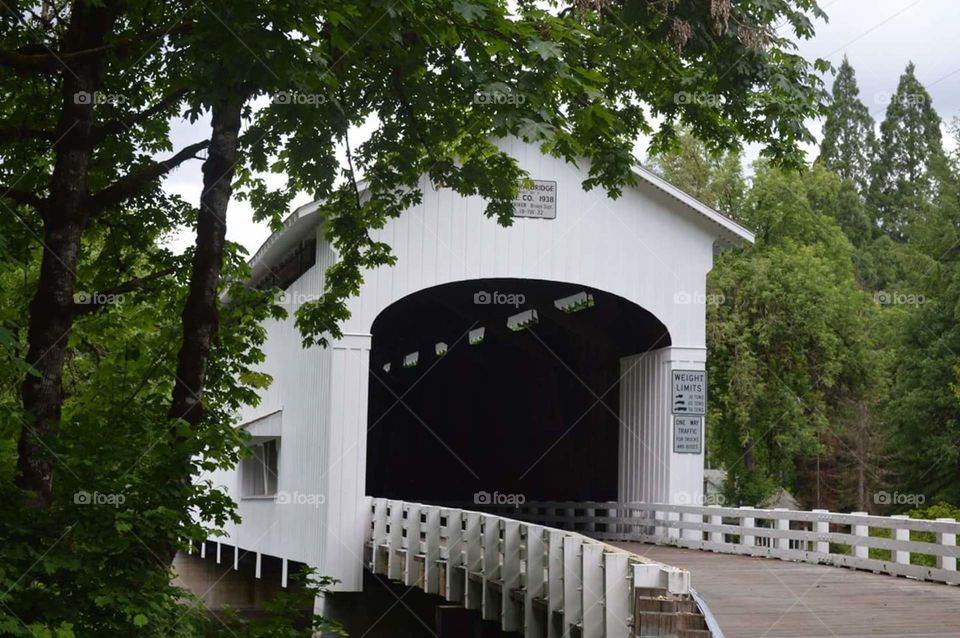 Parvin Covered Bridge, Dexter, OR