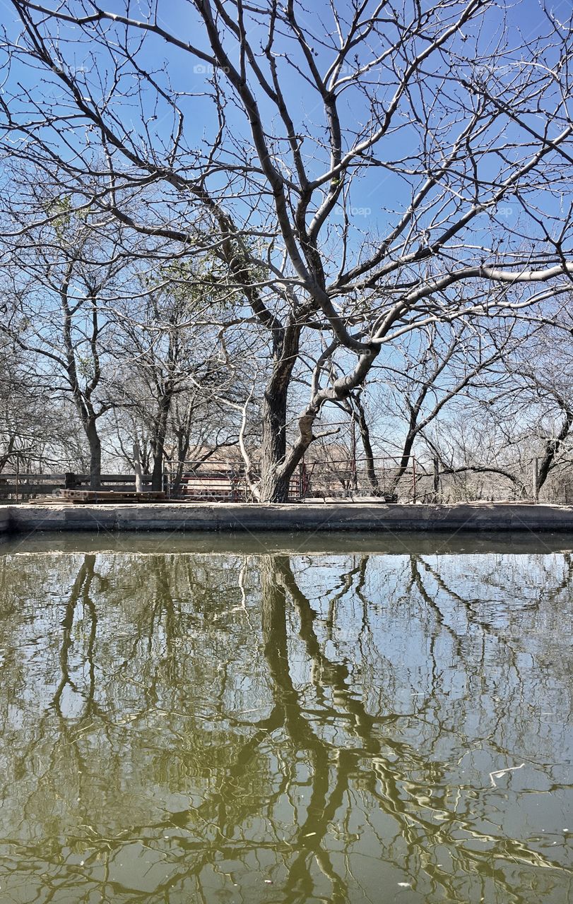 Concrete water trough reflection. 
