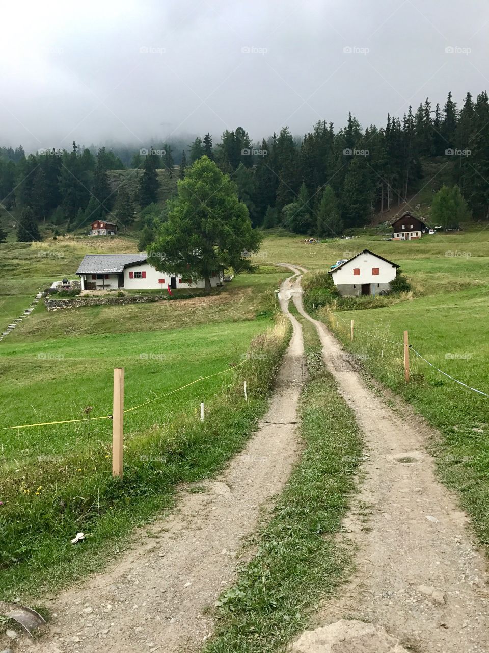Path to Swiss Alps