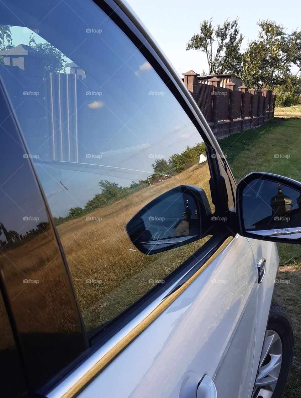 summer nature reflected in my car