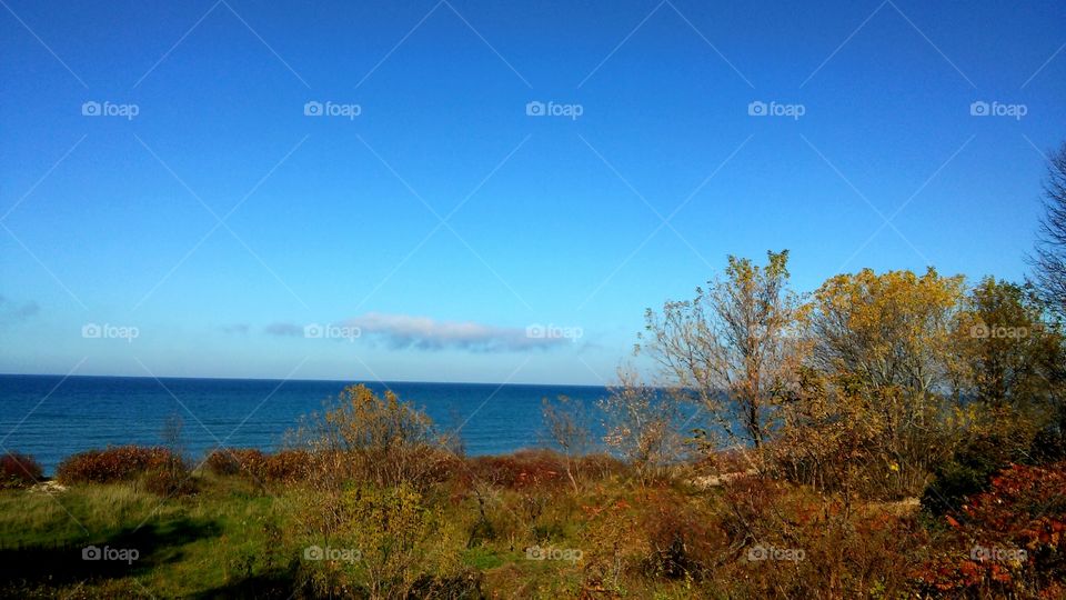 Fall, Tree, Landscape, Nature, No Person