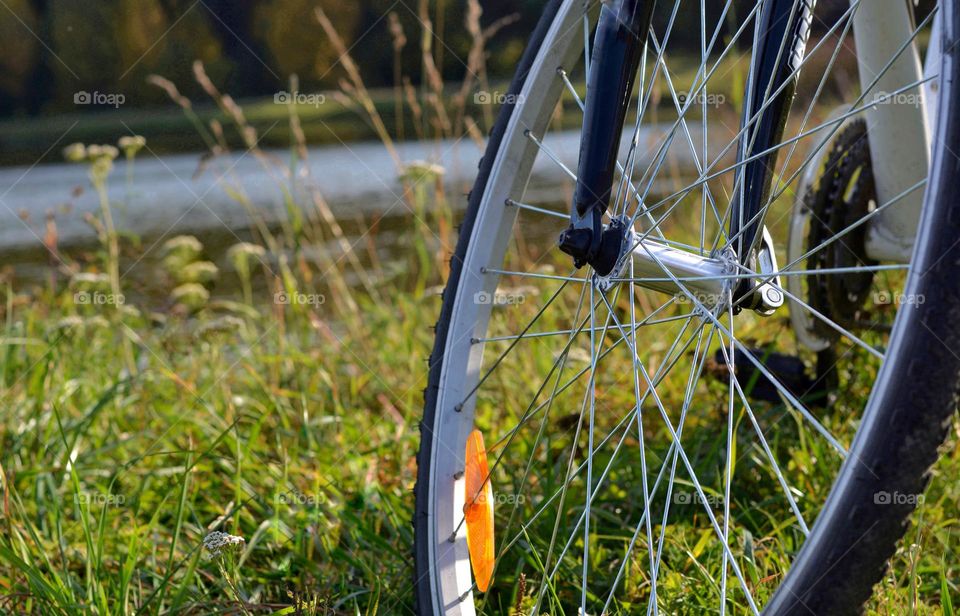 bike wheel view from the ground