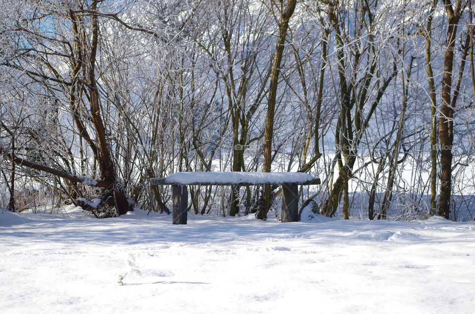 bench in pubblic park on winter background