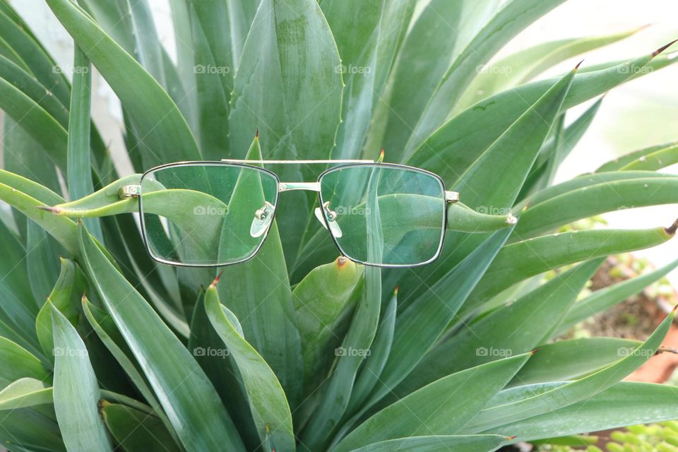 product I m carry always:my eye  glasses