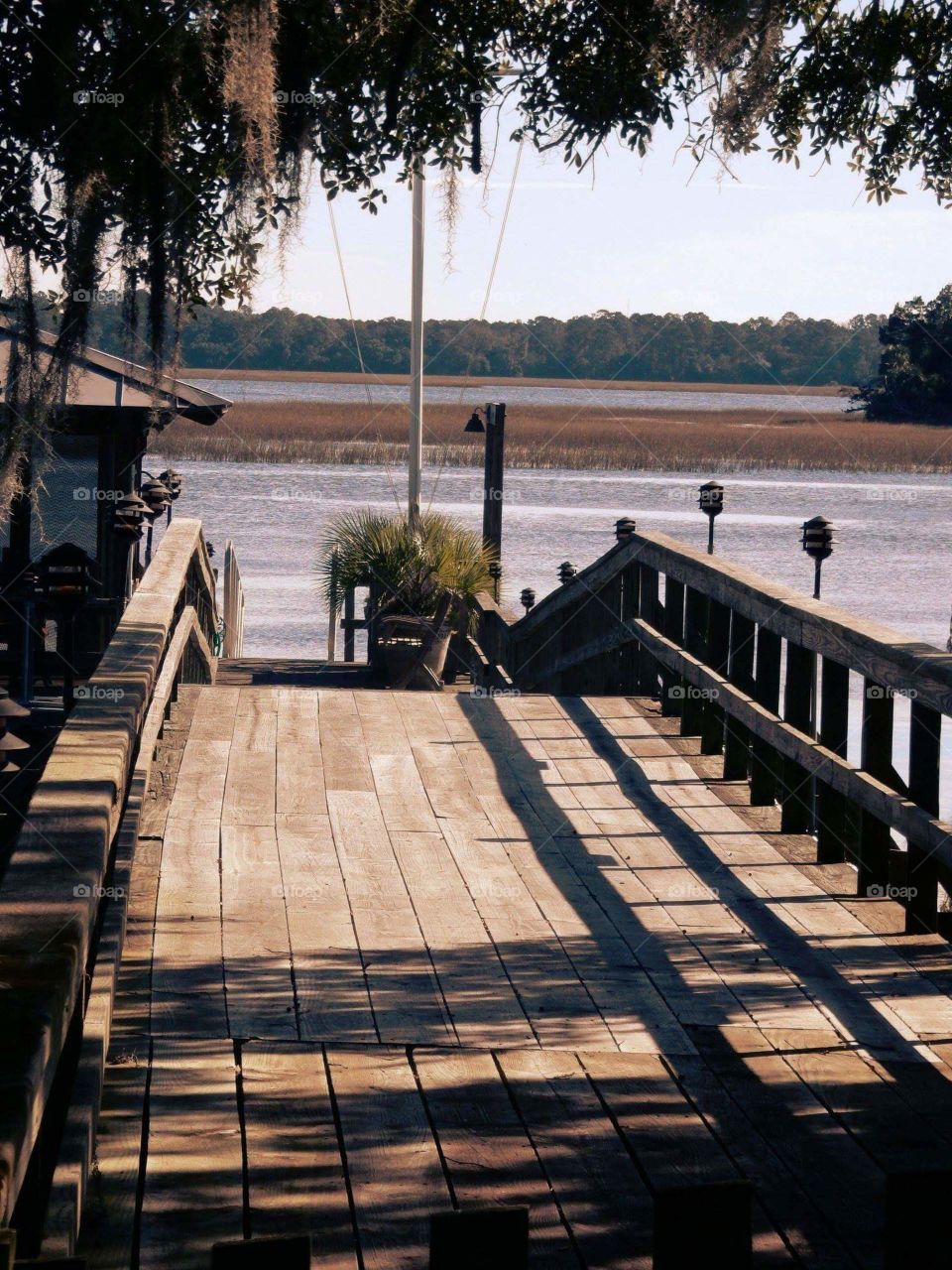 dock on the river