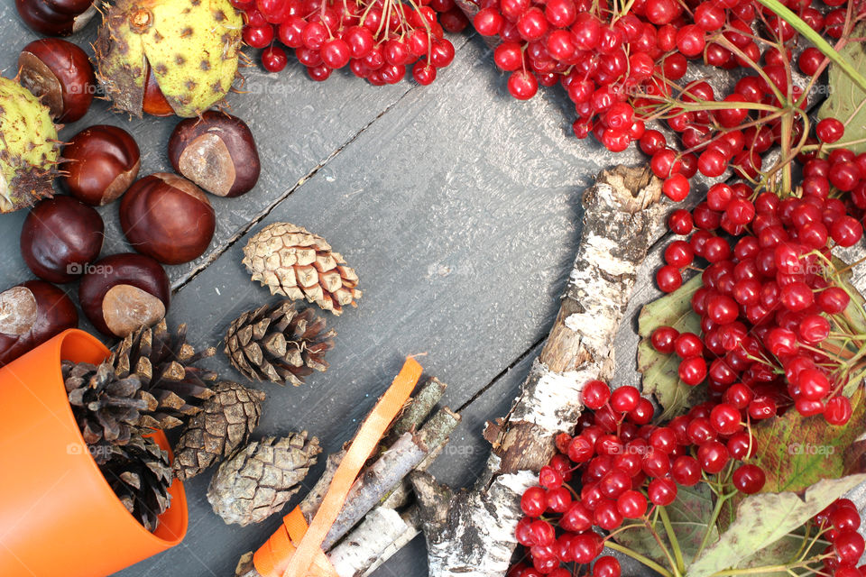 Vegetables, Halloween, pumpkin, corn, harvest, fertility, agriculture, food, cones, forest, birch branches