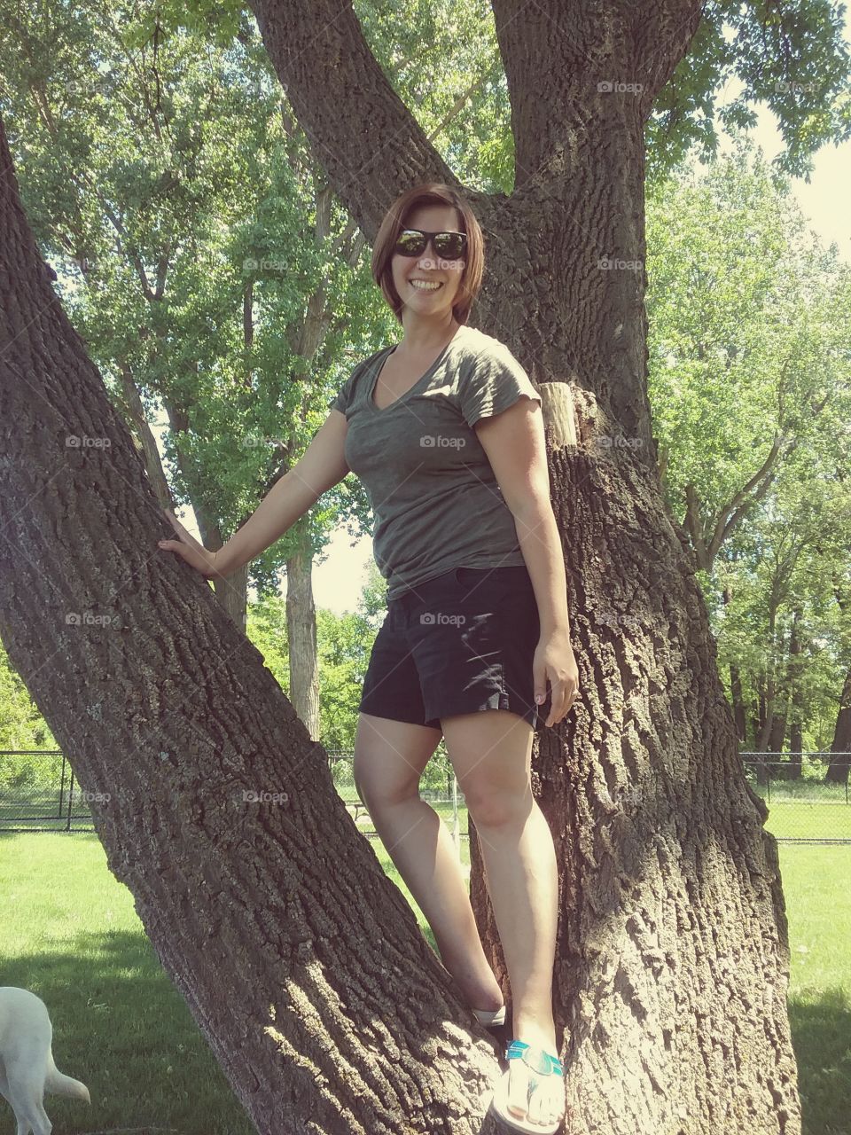 climbing trees in the summer