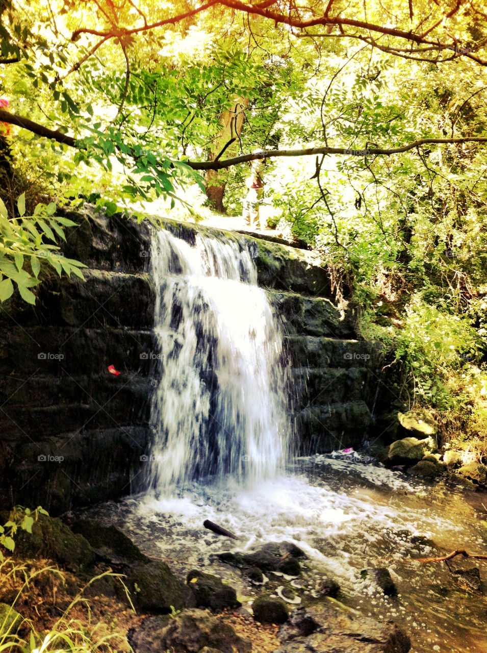 nature trees water waterfall by binkyboo
