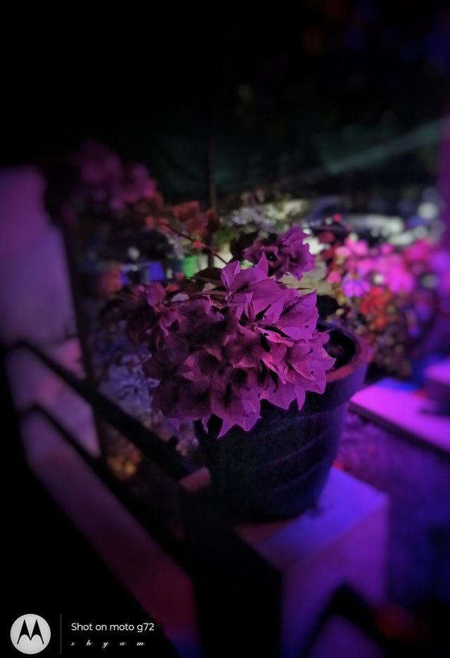 night colours