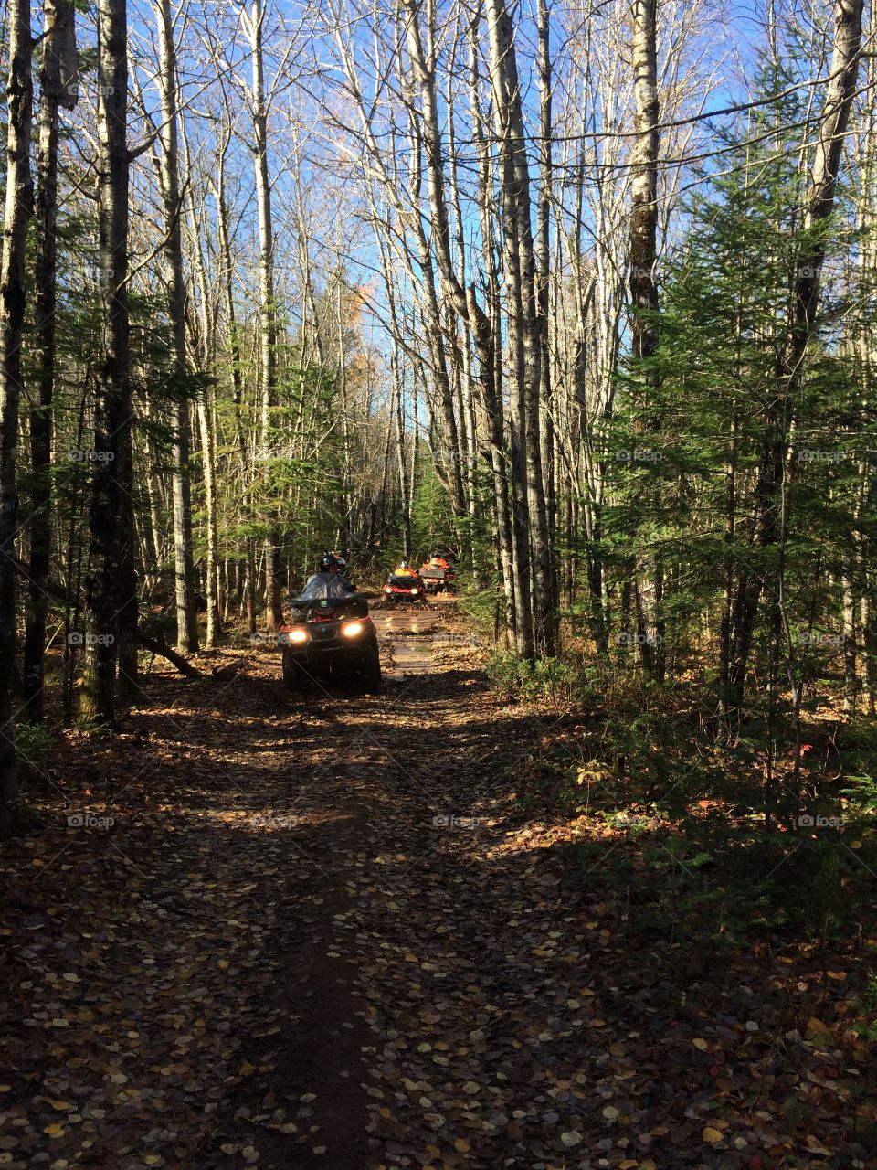 Four wheeling in the forest