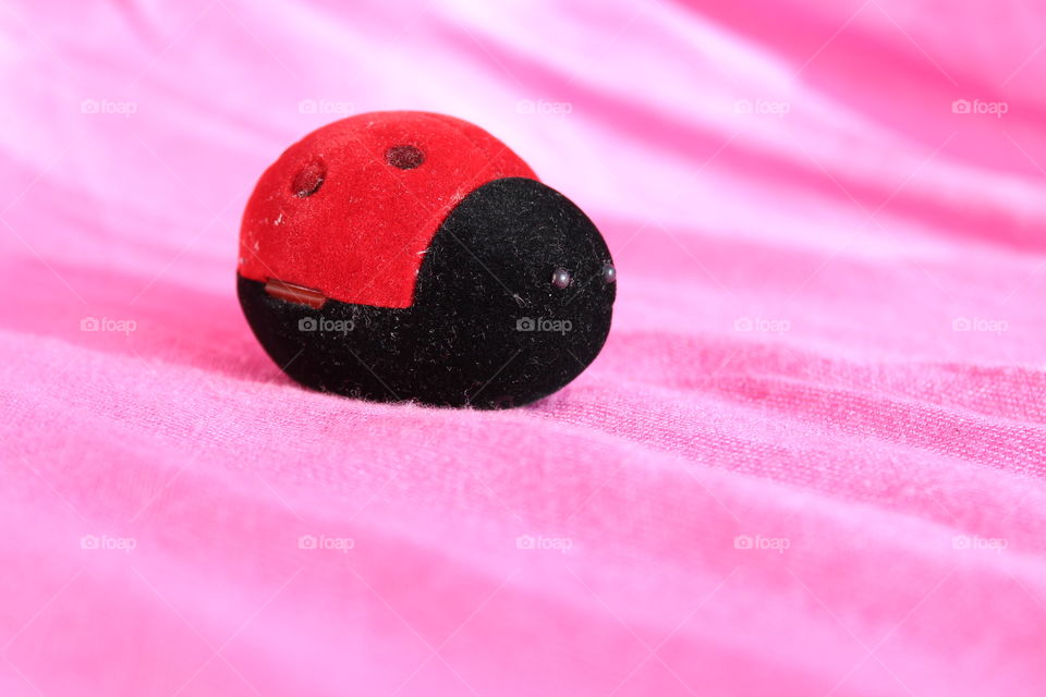 ladybug decorations