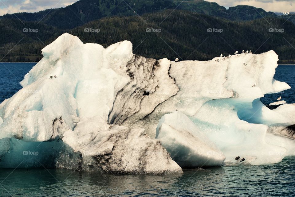 Sediment striations in glacial ice chunk 