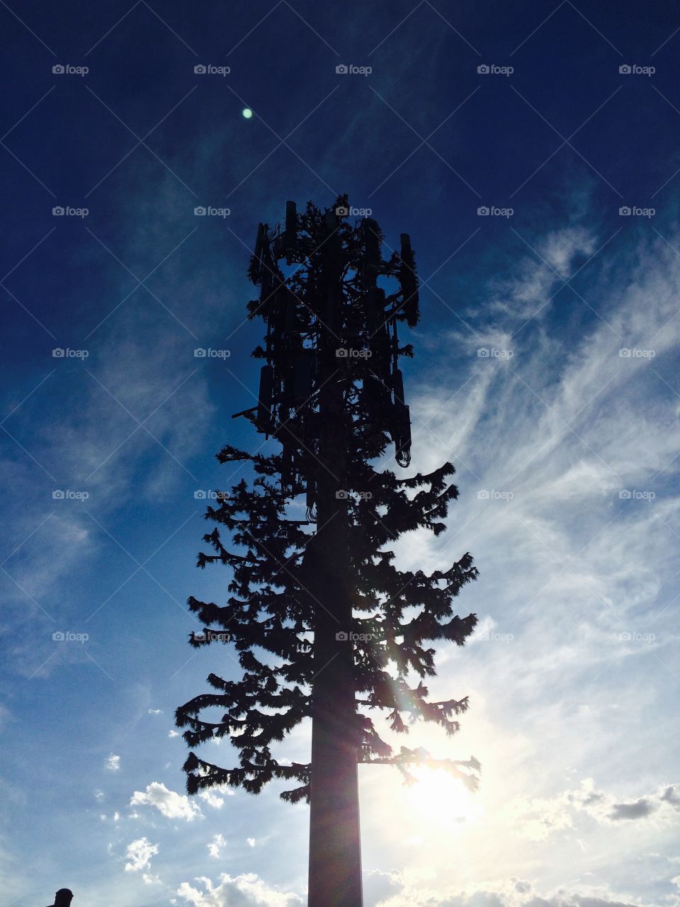 Electrical tree from below 
