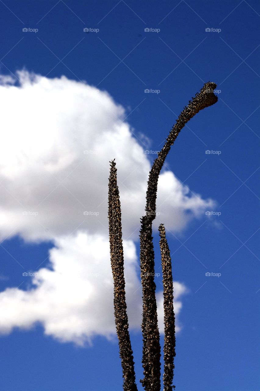 Clouds and Broomsticks