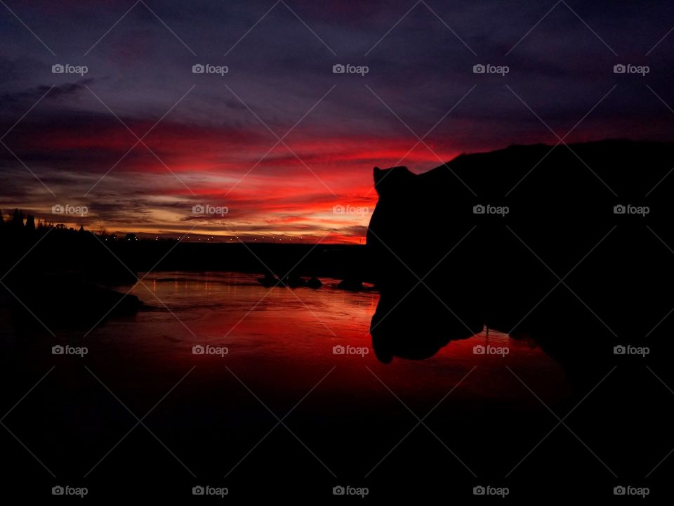 Thor watching an epic sunset over the lake!