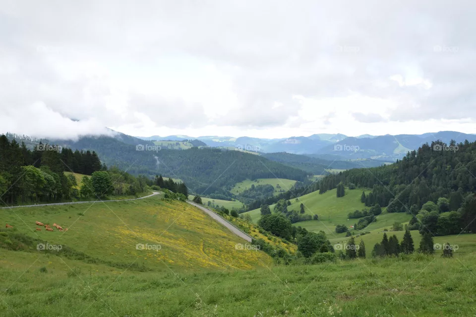 Mountain Landscape, Black Forest
