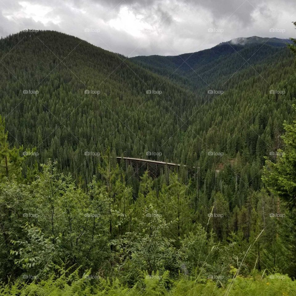 railroad trestle in the mountains surrounded by green trees and mountain peaks  under a rainy cloudy sky