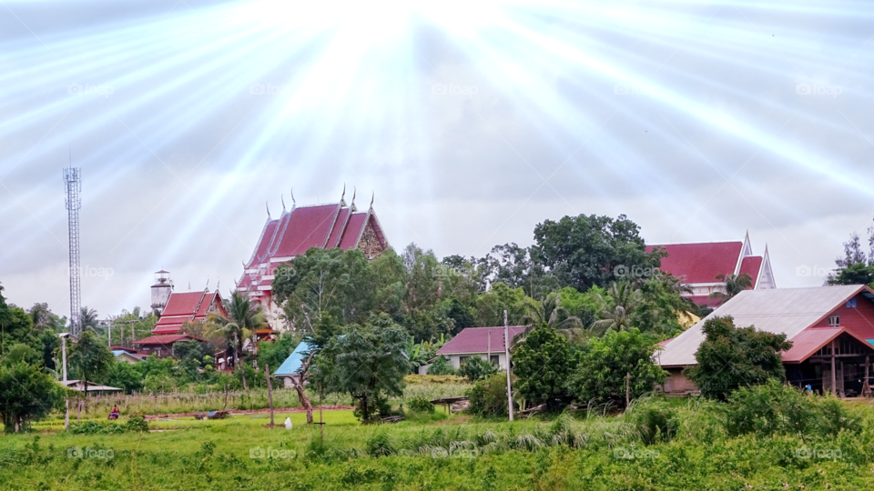 thailand temple. green nature view and temple