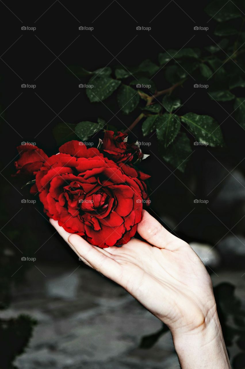 Reflection of My Soul