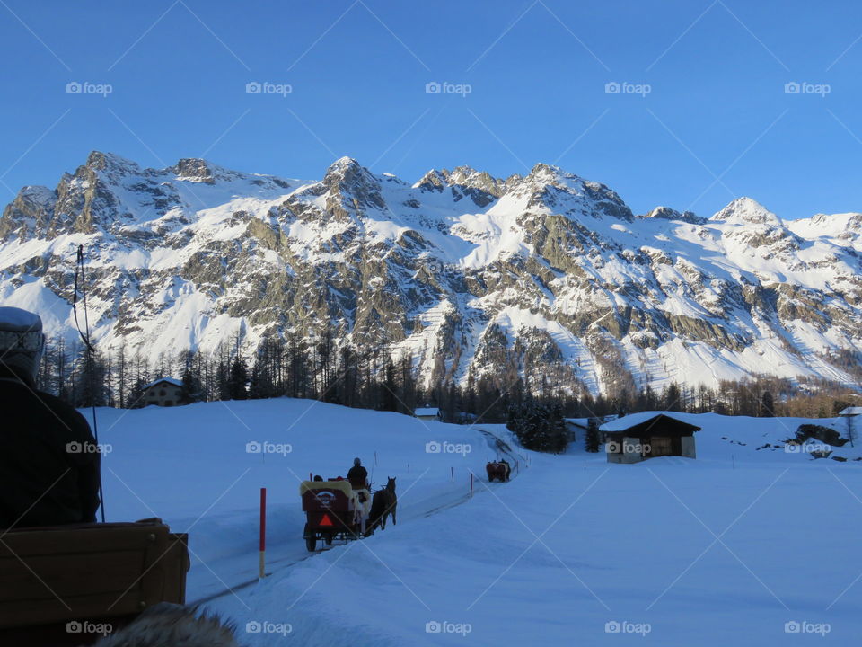 Riding in a horse drawn sleigh