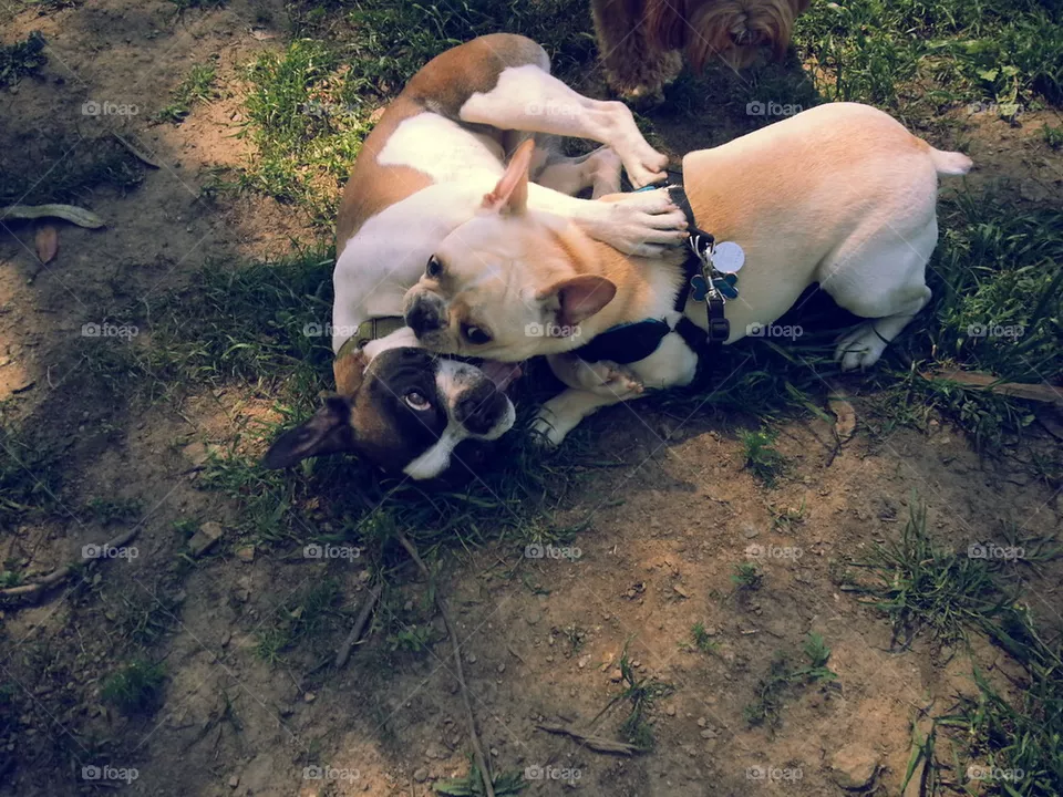 hugz